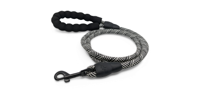 Laisse pour Chien Renforcée