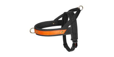 Harnais Matelassé pour Chien – Anti Traction