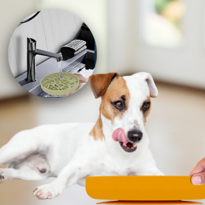 Gamelle Anti-Glouton en Silicone pour Chien - Parfaite pour Friandises et Repas Gamelle Anti-Glouton en Silicone pour Chien - Parfaite pour Friandises et Repas