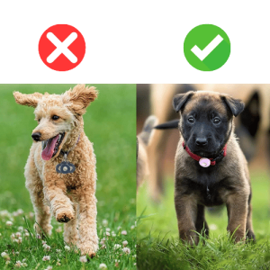 Airtag Houder voor Hondenhalsband – Zachte Siliconen Case voor Apple Airtag, Past op Halsbanden van Hond en Kat