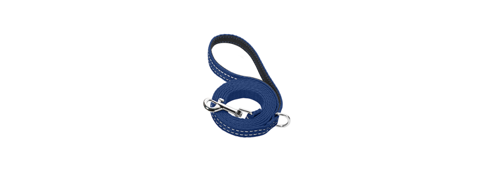 Laisses pour Chiens - Naamplaatjehond.be